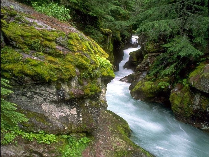 Avalanche Creek Falls